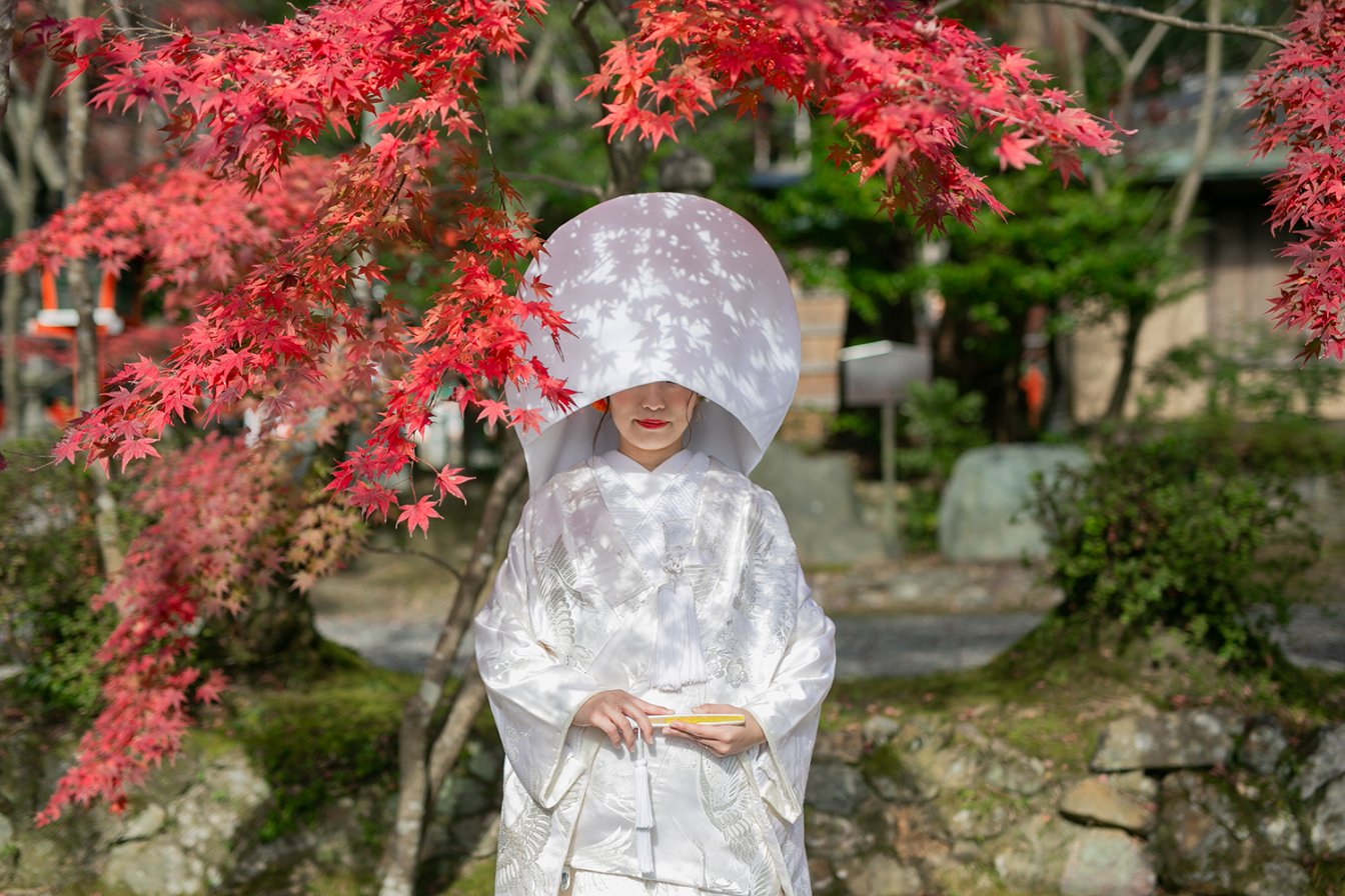 秋の紅葉を背景に白無垢と綿帽子で前撮りをする新婦