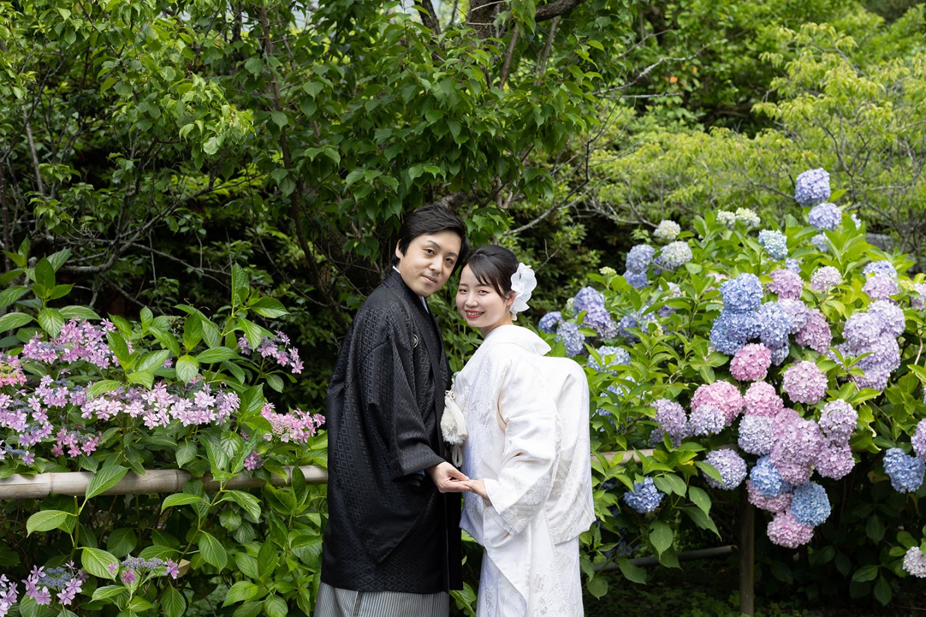 夏の梅宮大社で紫陽花を背景に前撮りを行う新郎新婦