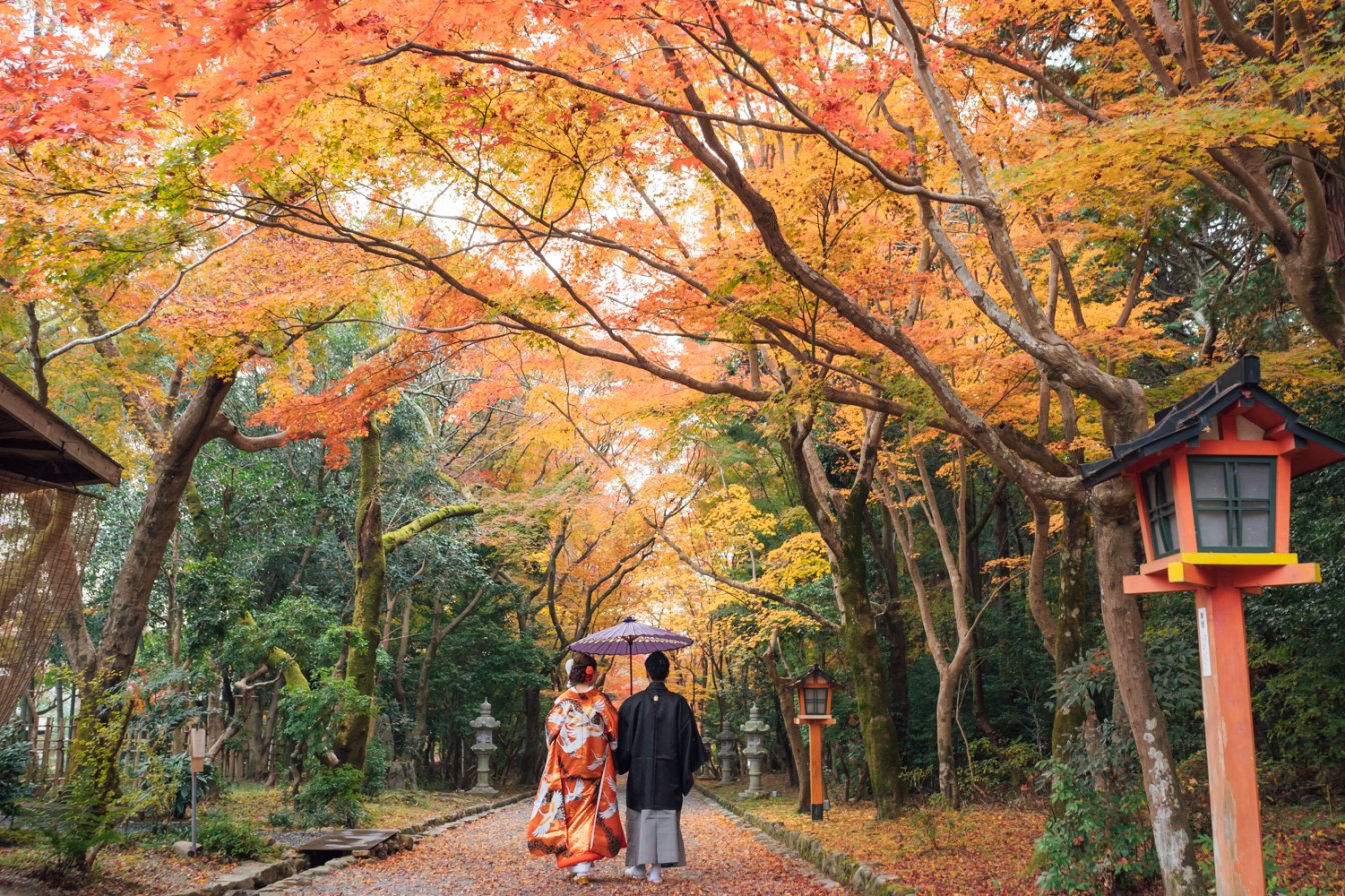秋の紅葉シーズンの大原野神社で和装前撮りを行う新郎新婦
