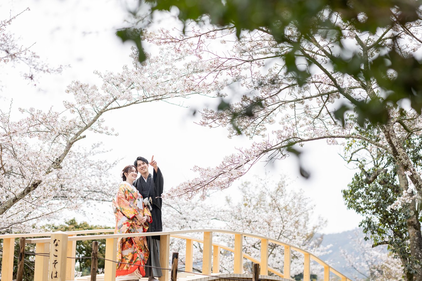 大覚寺で桜前撮りする新郎新婦