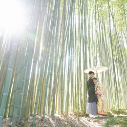 京都の和装の前撮りで人気ロケーションの竹林で撮影するメリット・デメリット