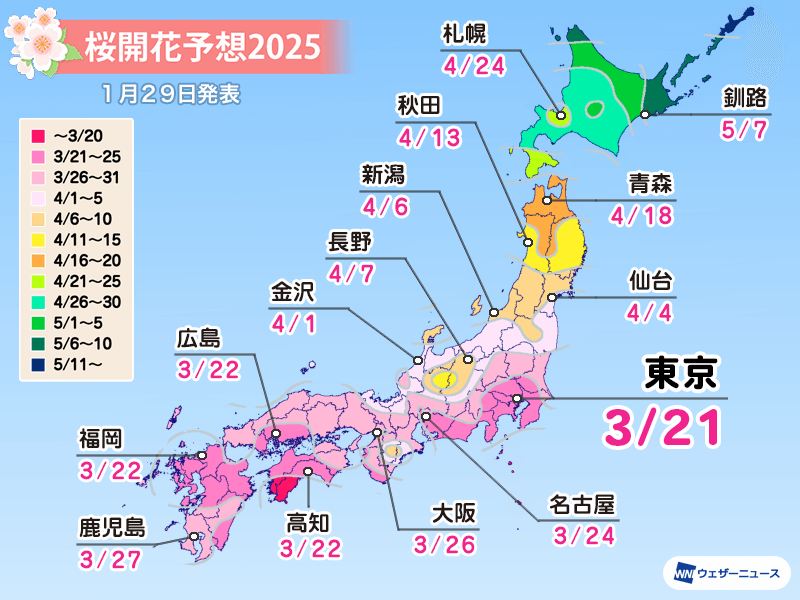 ウェザーニュース桜開花予想2025